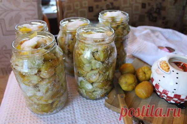 Айва хеномелес японская: как готовить этот полезный продукт | Есть время под солнцем | Дзен