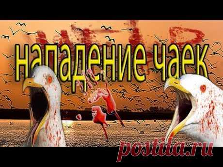 КОГДА ПРОИЗОШЛО НАПАДЕНИЕ НА ТРАКТОРИСТА СТАИ ЧАЕК! МЫ УСПЕЛИ ЭТО СНЯТЬ НА КАМЕРУ!  НАШЛИ СЕРЕБРО! - YouTube
