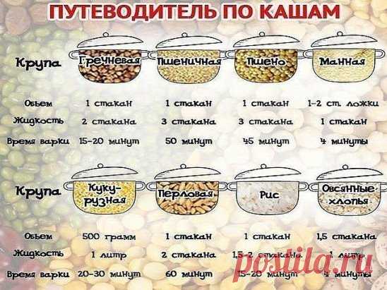 Путеводитель по кашам.  
Одноклассники