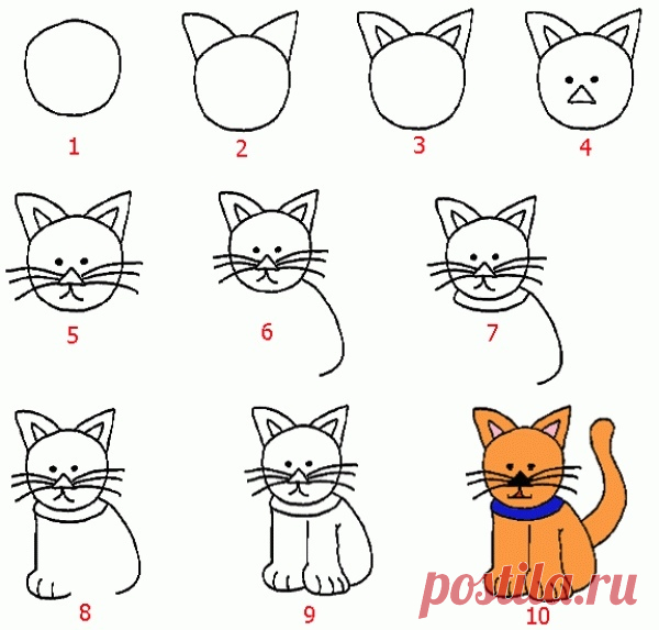 Учимся рисовать животных