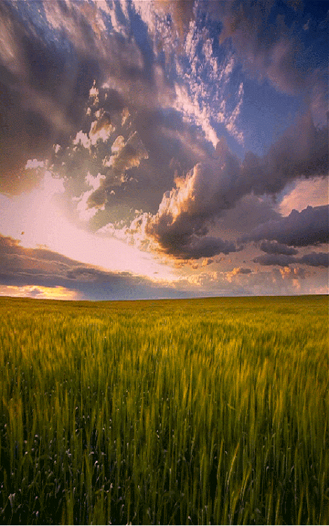 КРАСОТА МГНОВЕНИЙ. – Google+