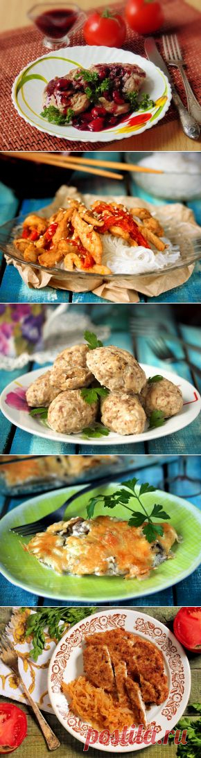 Вкусные рецепты блюд из мяса домашней и дикой птицы: курицы, индейки, утки, гуся.