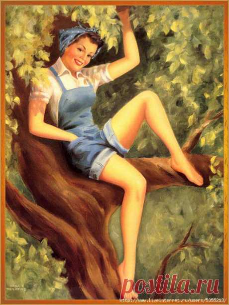 112559397_large_13849780021530399763.jpg (527×700)