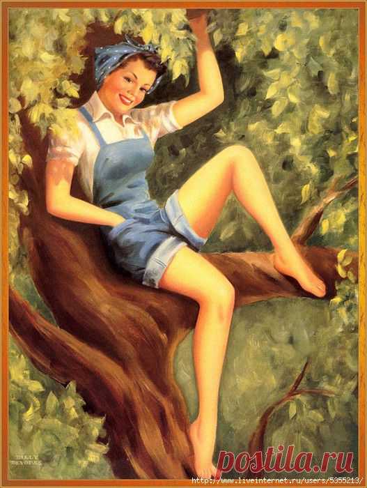 112559397_large_13849780021530399763.jpg (527×700)