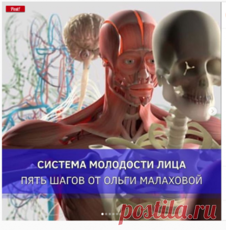 ОЛЬГА МАЛАХОВА on Instagram: “Всем привет! Поэтому давайте знакомиться со мной и моим профилем 🔺СОХРАНИТЕ ПОСТ 🔺 ⠀ Я - Ольга Малахова, автор «Система Молодости Лица™️»…”