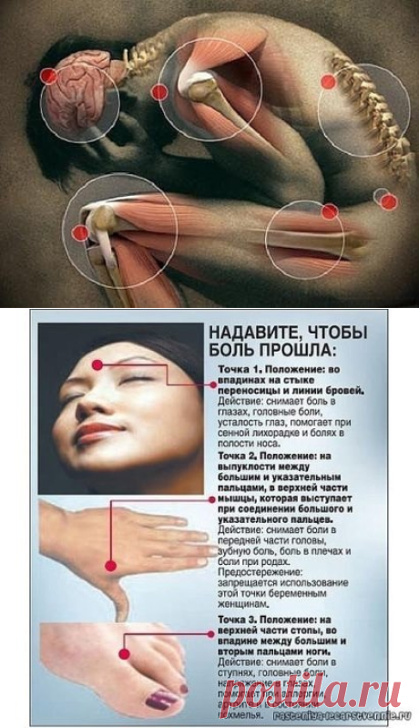 Одноклассники