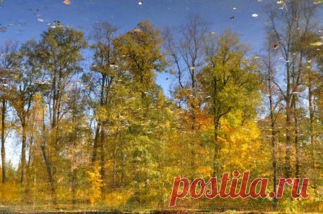 Осень. - 36 фото. Фотографии Ирина Гиль.