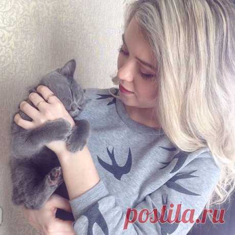 🐯