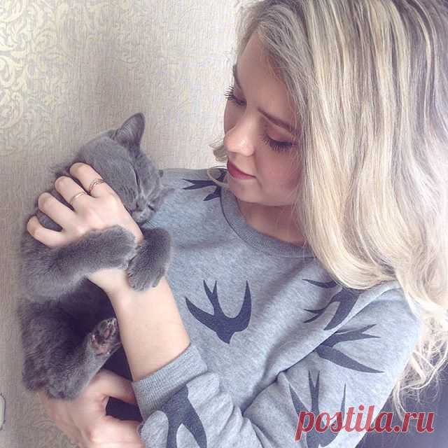 🐯