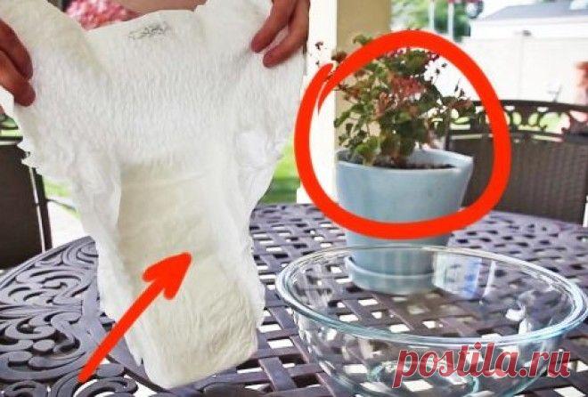 ПОДГУЗНИК В ЦВЕТОЧНОМ ГОРШКЕ? НЕ СПЕШИТЕ СМЕЯТЬСЯ И ОЦЕНИТЕ ГЕНИАЛЬНОСТЬ - Советы и Рецепты Да, знаем, что это звучит дико, но поверьте, что подгузник может не только содержать в сухости попку младенца, но и не даст высохнуть вашим цветам, что особенно актуально летом. Вам это понадобится! Как такое возможно? Да легко! Единственное, что подгузники должны быть чистыми или “почти чистыми”. Дело в том, что подгузник наполнен гидрогелем — веществом, …