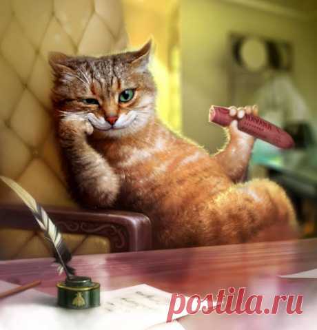 ПРАВИЛА ЖИЗНИ ДЛЯ КОТА, ВЛАДЕЮЩЕГО ДОМОМ