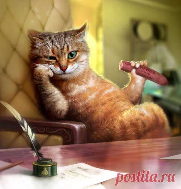 ПРАВИЛА ЖИЗНИ ДЛЯ КОТА, ВЛАДЕЮЩЕГО ДОМОМ
