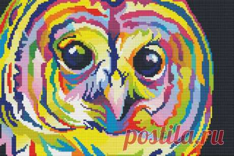 Gallery.ru / радужная Сова - Радужное - Norsvet