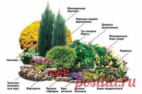 От весны и до осени.Создайте цветник непрерывного цветения - Экологическое землетворчество | Экологическое землетворчество