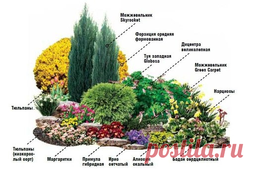От весны и до осени.Создайте цветник непрерывного цветения - Экологическое землетворчество | Экологическое землетворчество