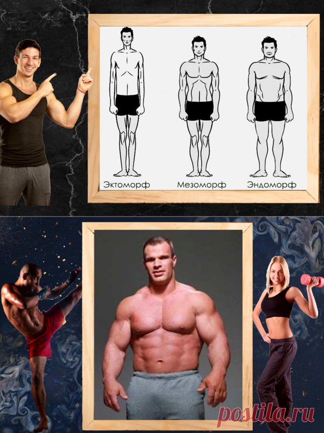 3 основных типа телосложения и как они влияют на тренировочный процес.