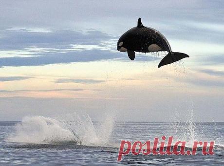 Мой Мир@Mail.Ru