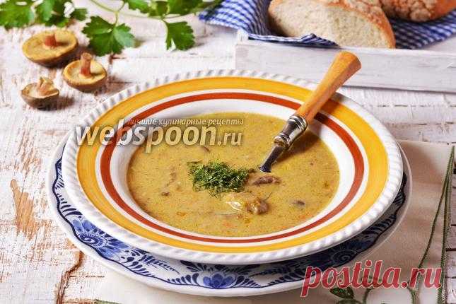 Суп из моховиков рецепт с фото, как приготовить на Webspoon.ru