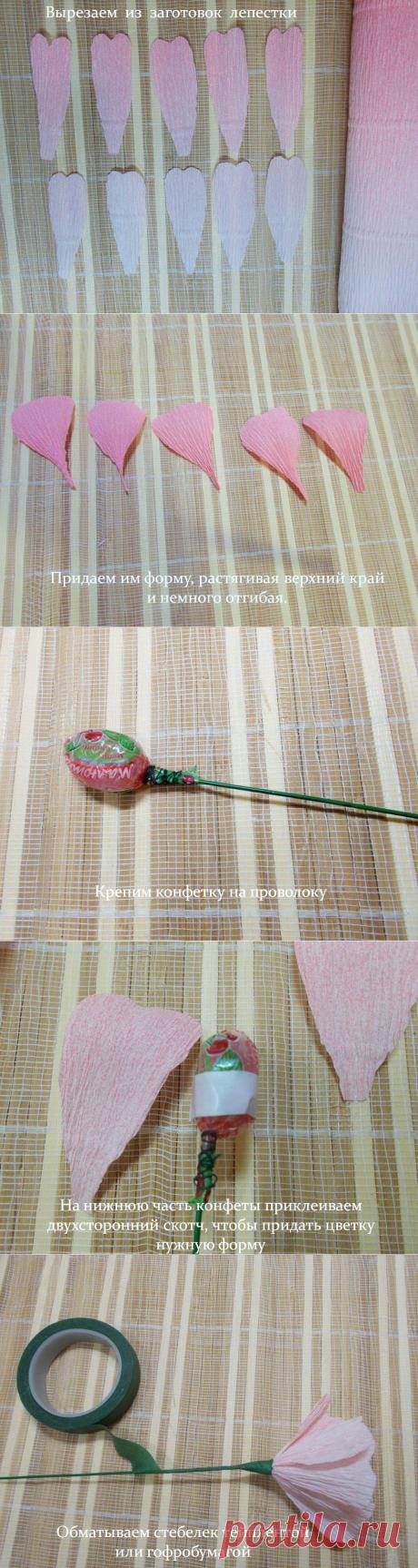 Мастер-класс &quot;Вьюнок полевой с конфеткой&quot; :: Втворчестве.ru