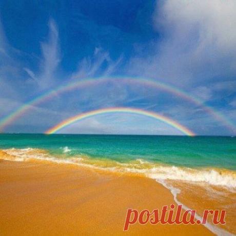(93) Одноклассники