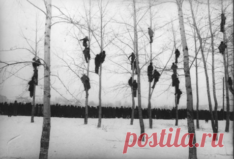 Шедевры советской фотографии