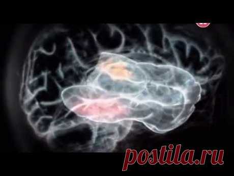 Мозг на автопилоте. Магия бессознательного. .