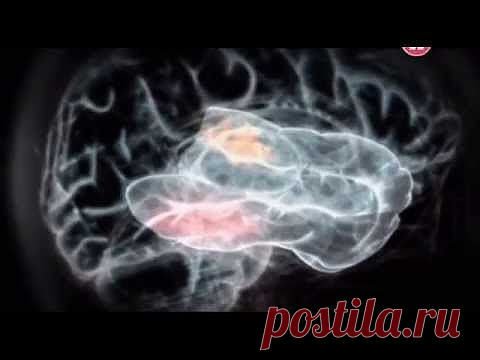 Мозг на автопилоте. Магия бессознательного. .