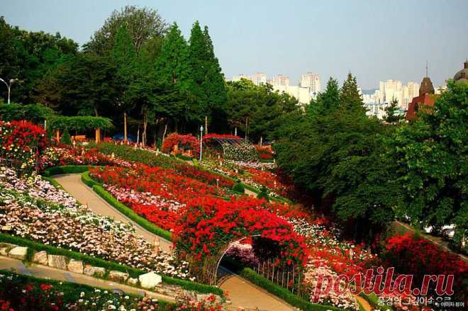 Красивейшие парки Южной Кореи:Dodang Park,Пучхон(Bucheon)