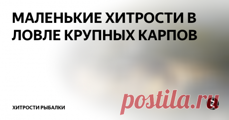 МАЛЕНЬКИЕ ХИТРОСТИ В ЛОВЛЕ КРУПНЫХ КАРПОВ  Существуют ли секреты в тактике прикармливания, которые бы позволили ловить только крупных карпов? И да, и нет. Естественно, невозможно все время ловить исключительно крупную рыбу. Но есть способы, которые, по меньшей мере, увеличивают шансы поимки более крупной рыбы, обитающей в водоеме. В последнее время я проводил множество экспериментов, благодаря которым мне удалось разработать два метода, ко