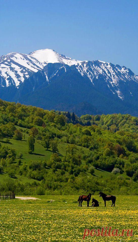 Western Ukraine  |  Pinterest • Всемирный каталог идей