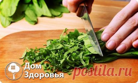 ПОЛЕЗНЫЕ СВОЙСТВА ЩАВЕЛЯ | Human psychology