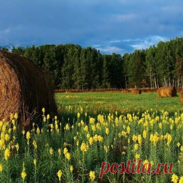 Тур Белоруссия, Брест из Москвы за 27860р 28 августа 2023 210342