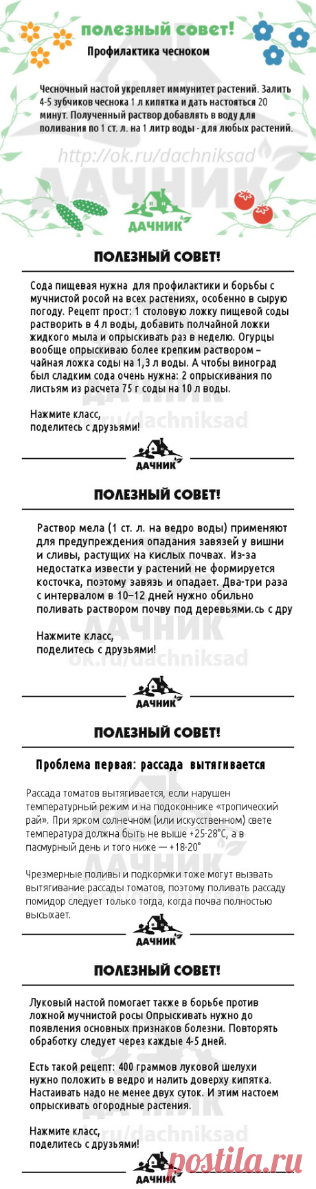 (48) Одноклассники