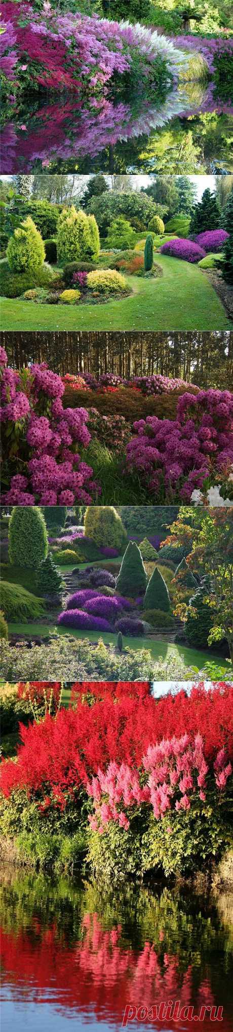 Сад долины реки Клена / Maple Glen garden | Kayrosblog.ru