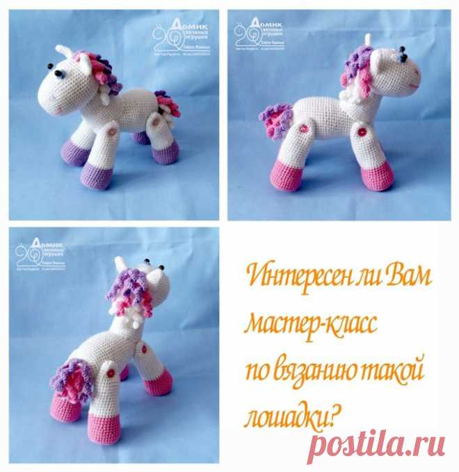 Описание Пони.