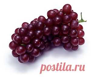 Прививка виноградника в расщеп подземной части штамба.