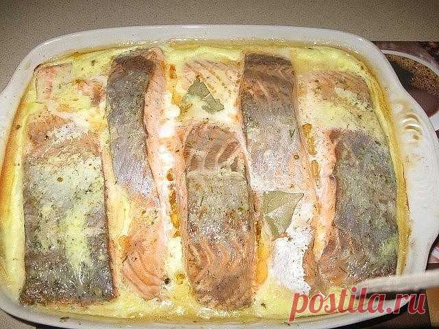 Рыба, запеченная в сметане!  Объедение! 

Ингредиенты: 

● 2 кг рыбы (хек, минтай) 
● 3 головки лука 
● 2 яйца 
● 150 г сыра твердых сортов 
● 400 г сметаны 
● растительное масло 
● мука 
● маленький пучок укропа 
● специи, соль и горчица по вкусу