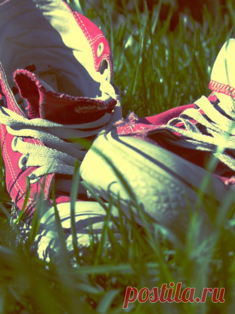 Фотопост: первый день лета | Selfhacker.ru