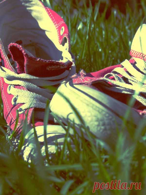 Фотопост: первый день лета | Selfhacker.ru