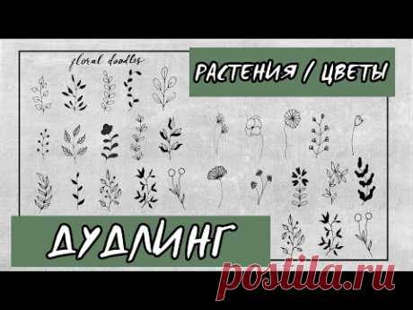 25 простых вариантов дудла / Как рисовать дудлы: растения, цветы /  Для ежедневника / floral doodles Просматривайте этот и другие пины на доске Искусство пользователя Lena Kosenko.
Теги