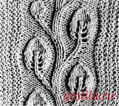 АЖУРНЫЕ ЛИСТОЧКИ | ИЗ СЕМЕЙНОГО СУНДУЧКА  |  Татьянин блог