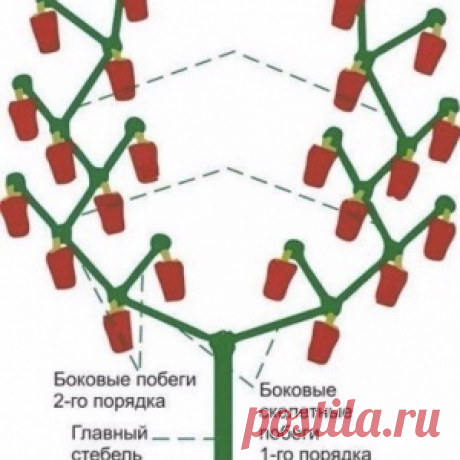 Регистрация