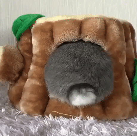 ЖИВЫЕ ФОТОГРАФИИ. AMAZING GIF. – Google+