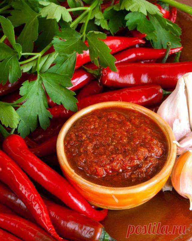 Аджика с яблоками на зиму