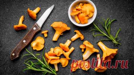 Как приготовить самые вкусные лисички. 7 рецептов и несколько хитростей Из всех грибов лисички - наиболее универсальный продукт. Они сочетаются с чем угодно - мясом, рыбой, пастой, рисом и прочими крупами, хороши и в супах, и в горячих блюдах, и в жюльенах, и в салатах, и в выпечке. Готовить их легко и приятно. Но некото