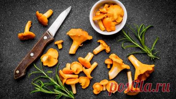 Как приготовить самые вкусные лисички. 7 рецептов и несколько хитростей Из всех грибов лисички - наиболее универсальный продукт. Они сочетаются с чем угодно - мясом, рыбой, пастой, рисом и прочими крупами, хороши и в супах, и в горячих блюдах, и в жюльенах, и в салатах, и в выпечке. Готовить их легко и приятно. Но некото