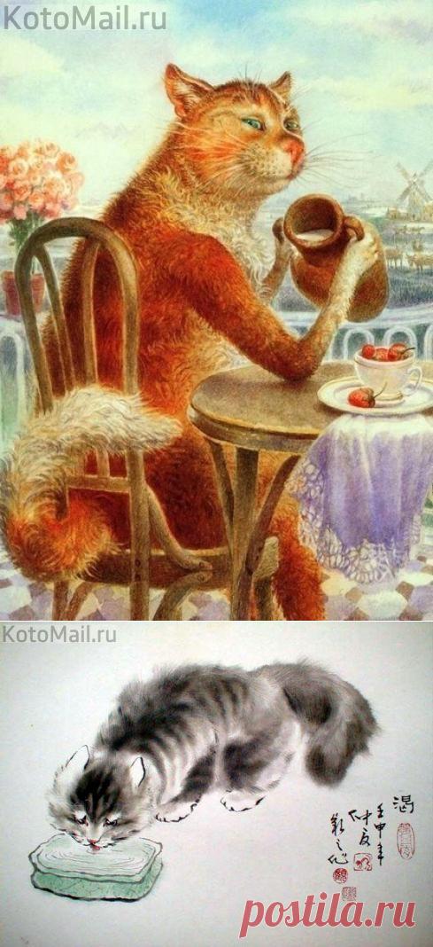 Молочное удовольствие | KotoMail.ru