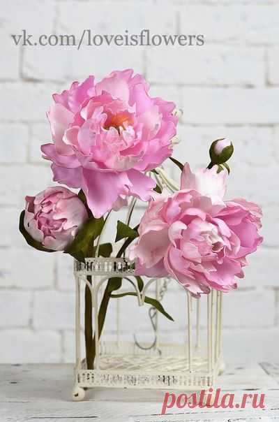 (1799) Pinterest