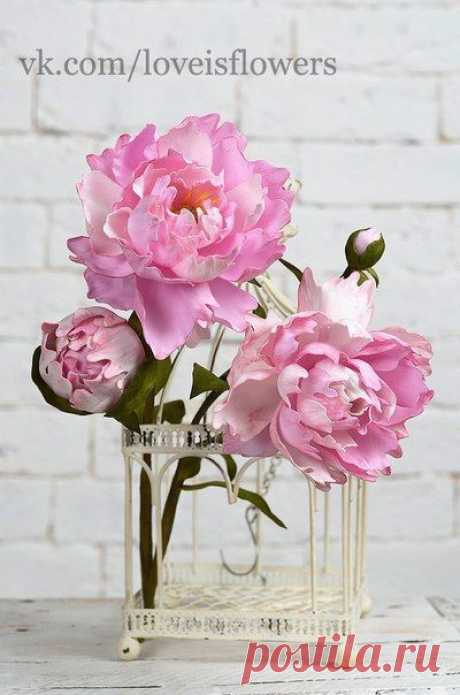 (1799) Pinterest