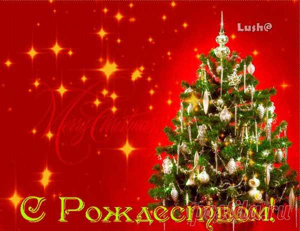 Яндекс.Фотки